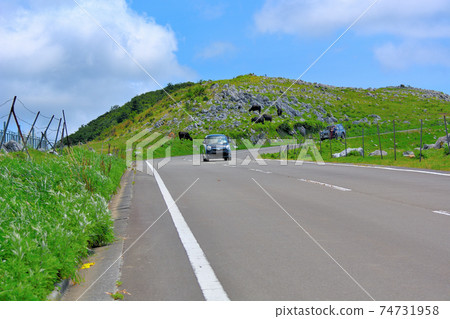 Enjoy a drive on the road in the sky with a spectacular view like the Shikoku Karst Alps ・ Near Himezurudaira ・ Ehime prefecture ・ Kochi prefecture (12) Enjoy a drive on the road in the sky with a spectacular view like the Shikoku Karst Alps ・ Near Himezurudaira ・ Ehime prefecture ・ Kochi prefecture (12) 74731958