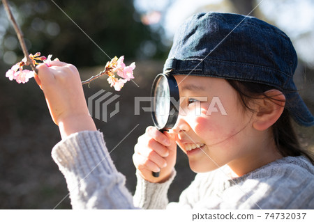 A girl observing cherry blossoms with a magnifying glass A girl observing cherry blossoms with a magnifying glass 74732037