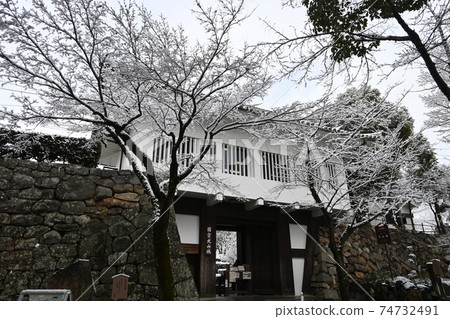 雪景和犬山城的入口 74732491