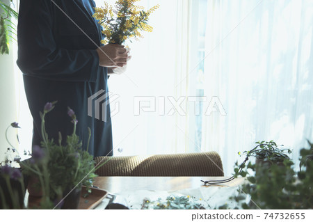 黃色的花含羞草的女人 黃色的花含羞草的女人 74732655