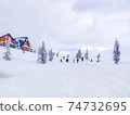 Snow holiday landscapes 74732695