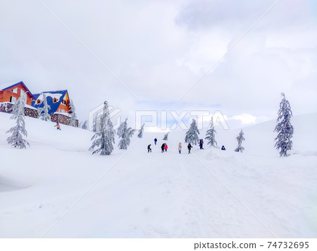Snow holiday landscapes 74732695