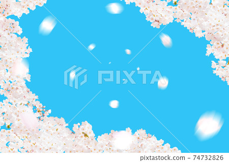 Sakura in full bloom Sakura wallpaper Sakura Fubuki Sakura in full bloom Sakura in full bloom Sakura wallpaper Sakura Fubuki Sakura in full bloom 74732826