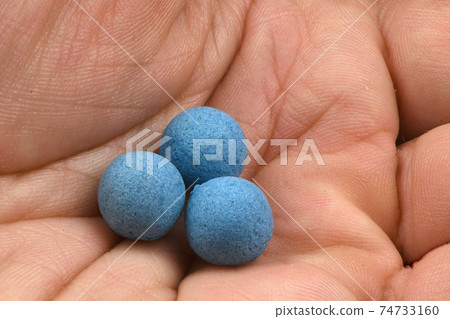 Boilies, fishing baits for carp Boilies, fishing baits for carp 74733160