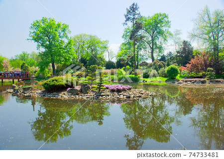 botanical garden of Wroclaw, Poland 74733481