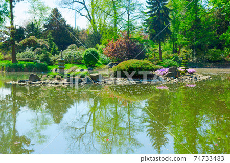 botanical garden of Wroclaw, Poland 74733483