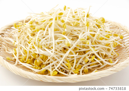 Bean sprouts Bean sprouts 74733818