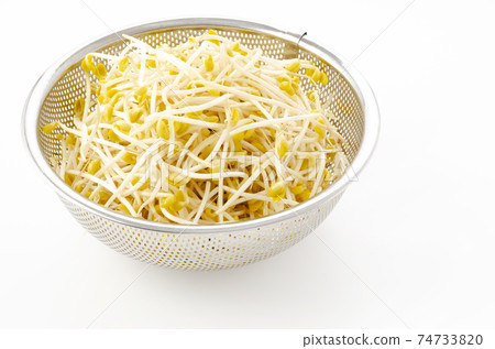 Bean sprouts Bean sprouts 74733820