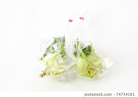 Kohlrabi in a bag 74734261