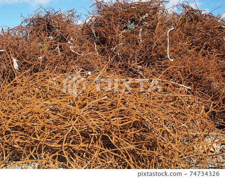 3.11 Great East Japan Earthquake Rikuzentakata 74734326