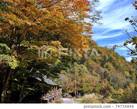 To木縣日光市Okukinu海濱長廊上的秋葉4 74734848
