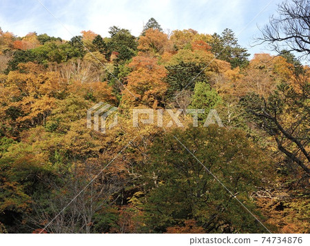 To木縣日光市Okukinu Onsenkyo的秋葉5 To木縣日光市Okukinu Onsenkyo的秋葉5 74734876