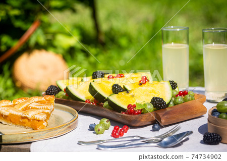 Outdoor summer picnic 74734902