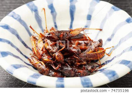 Locust of locusts Locust of locusts 74735196