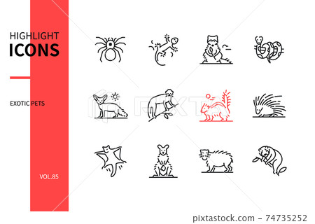 Exotic pets - modern line design style icons set 74735252