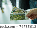 Goryokaku Tower Ticket 74735612