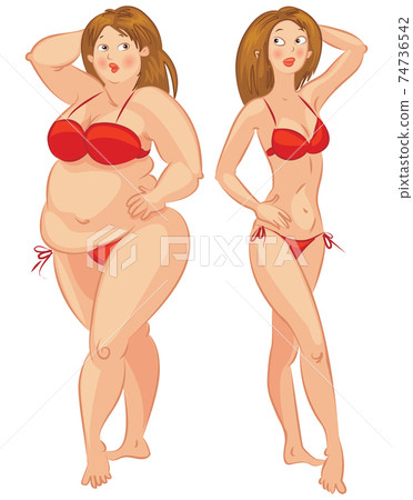 Fat and thin woman, vector illustration 74736542