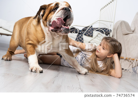 A young girl in a bedroom, sitting on the floor with her dog and stroking him. Child and dog. The English Bulldog is a purebred dog with a pedigree. A young girl in a bedroom, sitting on the floor with her dog and stroking him. Child and dog. The English Bulldog is a purebred dog with a pedigree. 74736574