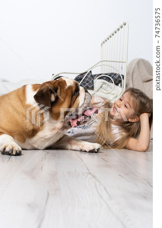 A young girl in a bedroom, sitting on the floor with her dog and stroking him. Child and dog. The English Bulldog is a purebred dog with a pedigree. A young girl in a bedroom, sitting on the floor with her dog and stroking him. Child and dog. The English Bulldog is a purebred dog with a pedigree. 74736575