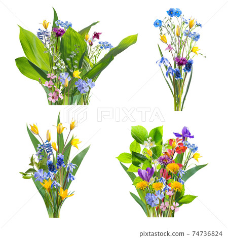 Bouquets from spring wild flowers isolated 74736824