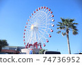 棕櫚樹，摩天輪和藍天 74736952