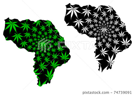 Kapisa Province (Islamic Republic of Afghanistan, Provinces of Afghanistan) map is designed cannabis leaf green and black, Kapisa map made of marijuana (marihuana,THC) foliage.... 74739091