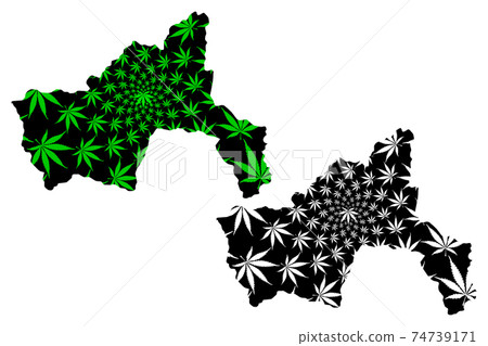 Parwan Province (Islamic Republic of Afghanistan, Provinces of Afghanistan) map is designed cannabis leaf green and black, Parvan map made of marijuana (marihuana,THC) foliage.... Parwan Province (Islamic Republic of Afghanistan, Provinces of Afghanistan) map is designed cannabis leaf green and black, Parvan map made of marijuana (marihuana,THC) foliage.... 74739171