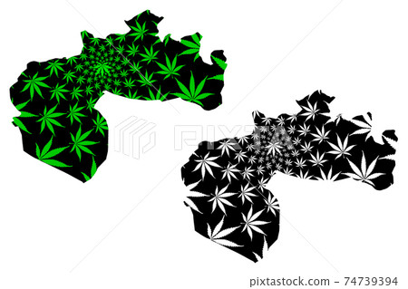 Biskra Province (Provinces of Algeria, Peoples Democratic Republic of Algeria) map is designed cannabis leaf green and black, Biskra map made of marijuana (marihuana,THC) foliage.... Biskra Province (Provinces of Algeria, Peoples Democratic Republic of Algeria) map is designed cannabis leaf green and black, Biskra map made of marijuana (marihuana,THC) foliage.... 74739394