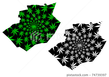 Bechar Province (Provinces of Algeria, Peoples Democratic Republic of Algeria) map is designed cannabis leaf green and black, Bechar map made of marijuana (marihuana,THC) foliage.... Bechar Province (Provinces of Algeria, Peoples Democratic Republic of Algeria) map is designed cannabis leaf green and black, Bechar map made of marijuana (marihuana,THC) foliage.... 74739397