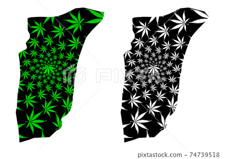 Ghardaia Province (Provinces of Algeria, Peoples Democratic Republic of Algeria) map is designed cannabis leaf green and black, Ghardaia map made of marijuana (marihuana,THC) foliage.... Ghardaia Province (Provinces of Algeria, Peoples Democratic Republic of Algeria) map is designed cannabis leaf green and black, Ghardaia map made of marijuana (marihuana,THC) foliage.... 74739518