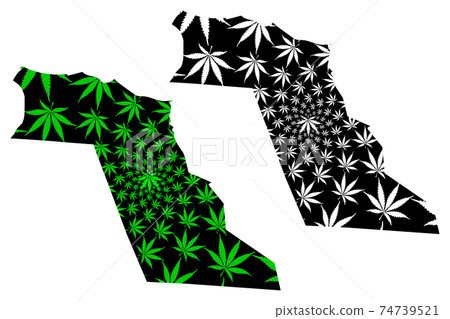 El Oued Province (Provinces of Algeria, Peoples Democratic Republic of Algeria) map is designed cannabis leaf green and black, El Oued map made of marijuana (marihuana,THC) foliage.... El Oued Province (Provinces of Algeria, Peoples Democratic Republic of Algeria) map is designed cannabis leaf green and black, El Oued map made of marijuana (marihuana,THC) foliage.... 74739521