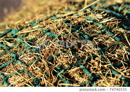 Close up of hay under a green hay net 74740535