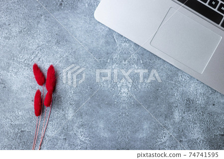 Home office table desk workspace with laptop decorated with red flower Home office table desk workspace with laptop decorated with red flower 74741595