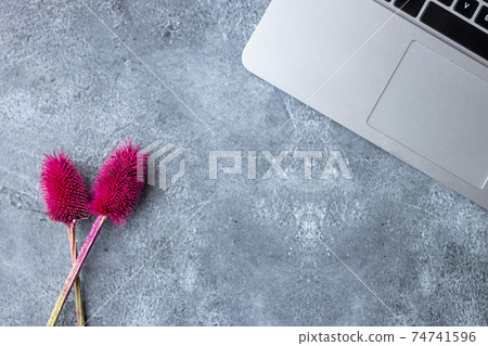 Home office table desk workspace with laptop decorated with red flower Home office table desk workspace with laptop decorated with red flower 74741596