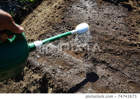Kitchen garden / field work Kitchen garden / field work 74741673