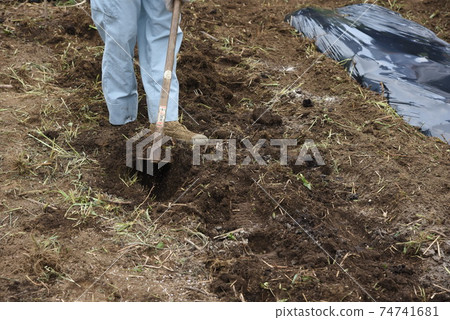 Kitchen garden / field work Kitchen garden / field work 74741681