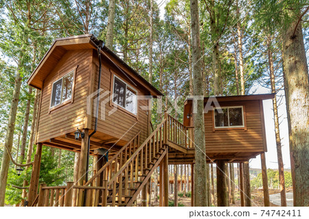 Log house in the forest 74742411