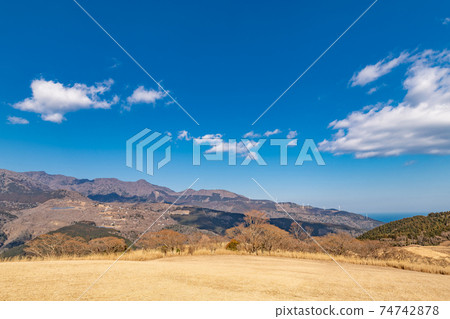 靜岡縣賀茂市東伊豆町細野高原的冬景 靜岡縣賀茂市東伊豆町細野高原的冬景 74742878