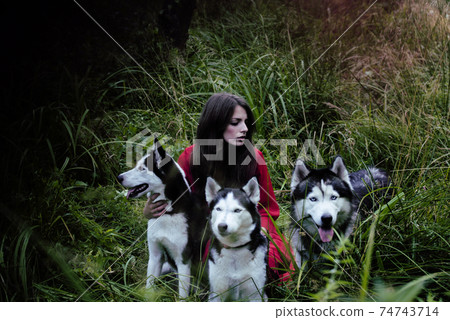woman in red dress with tree wolfs, forest, husky dogs mystery portrait 74743714