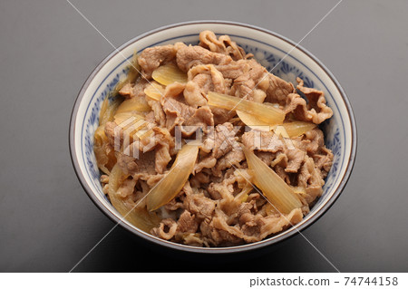 beef bowl beef bowl 74744158