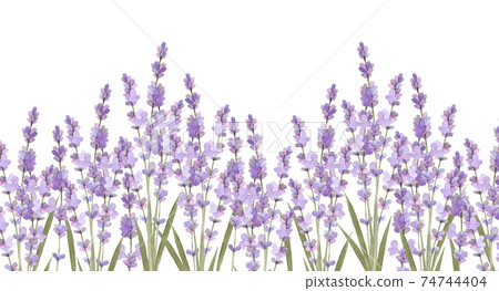 【Lavender garden】アクリル画 F4 風景画 絵画 Lavender garden】アクリル画 F4 風景画 絵画
