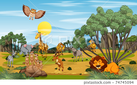 Many different animals in the forest scene 74745094