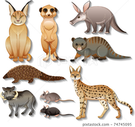 Set of isolated wild african animals on white background 74745095