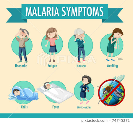 Malaria transmission cycle and symptom information infographic 74745271