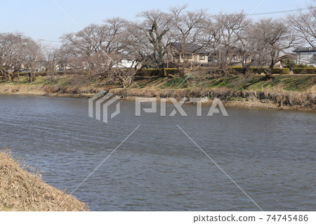 A view of the Motoara River in Saitama Prefecture, Japan, rippling due to strong winter winds A view of the Motoara River in Saitama Prefecture, Japan, rippling due to strong winter winds 74745486