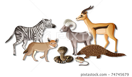 Group of wild African animals on white background Group of wild African animals on white background 74745679