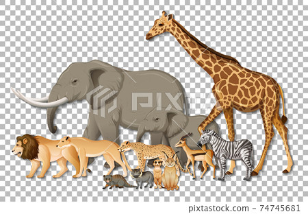 Group of wild African animals on transparent background Group of wild African animals on transparent background 74745681