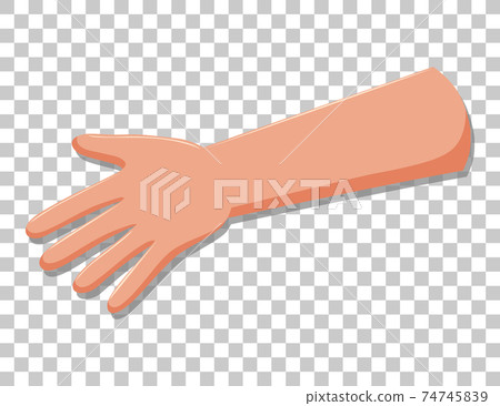 Arm with fingers isolated on transparent background 74745839