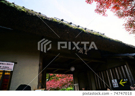秋天美麗的葉子Hogon-in寺 74747018