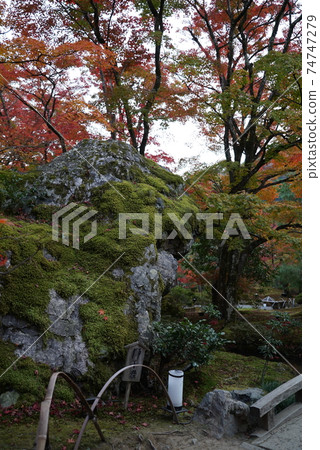 秋天美麗的葉子Hogon-in寺 秋天美麗的葉子Hogon-in寺 74747279